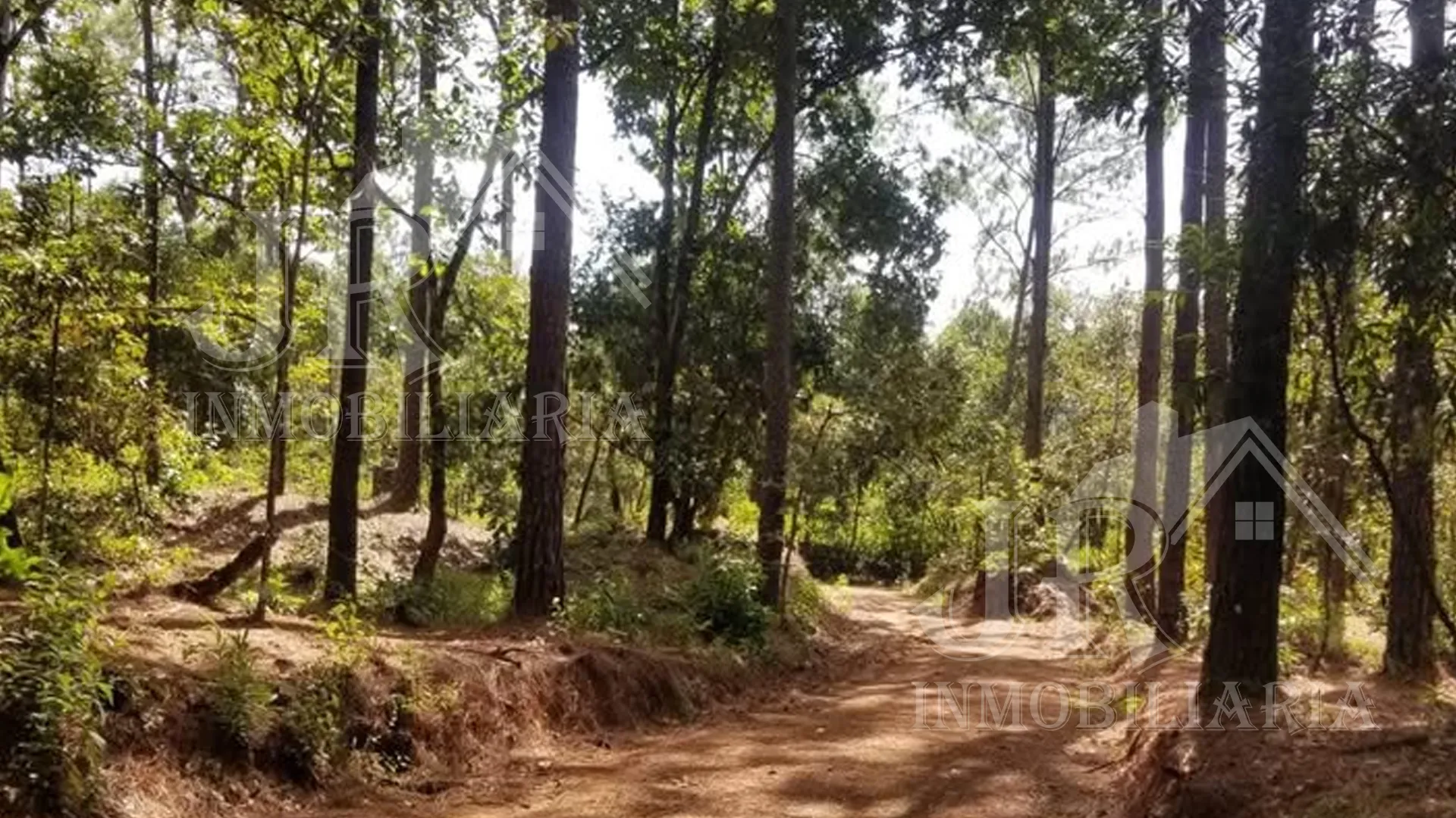 Venta de Parcela en San Fernándo.