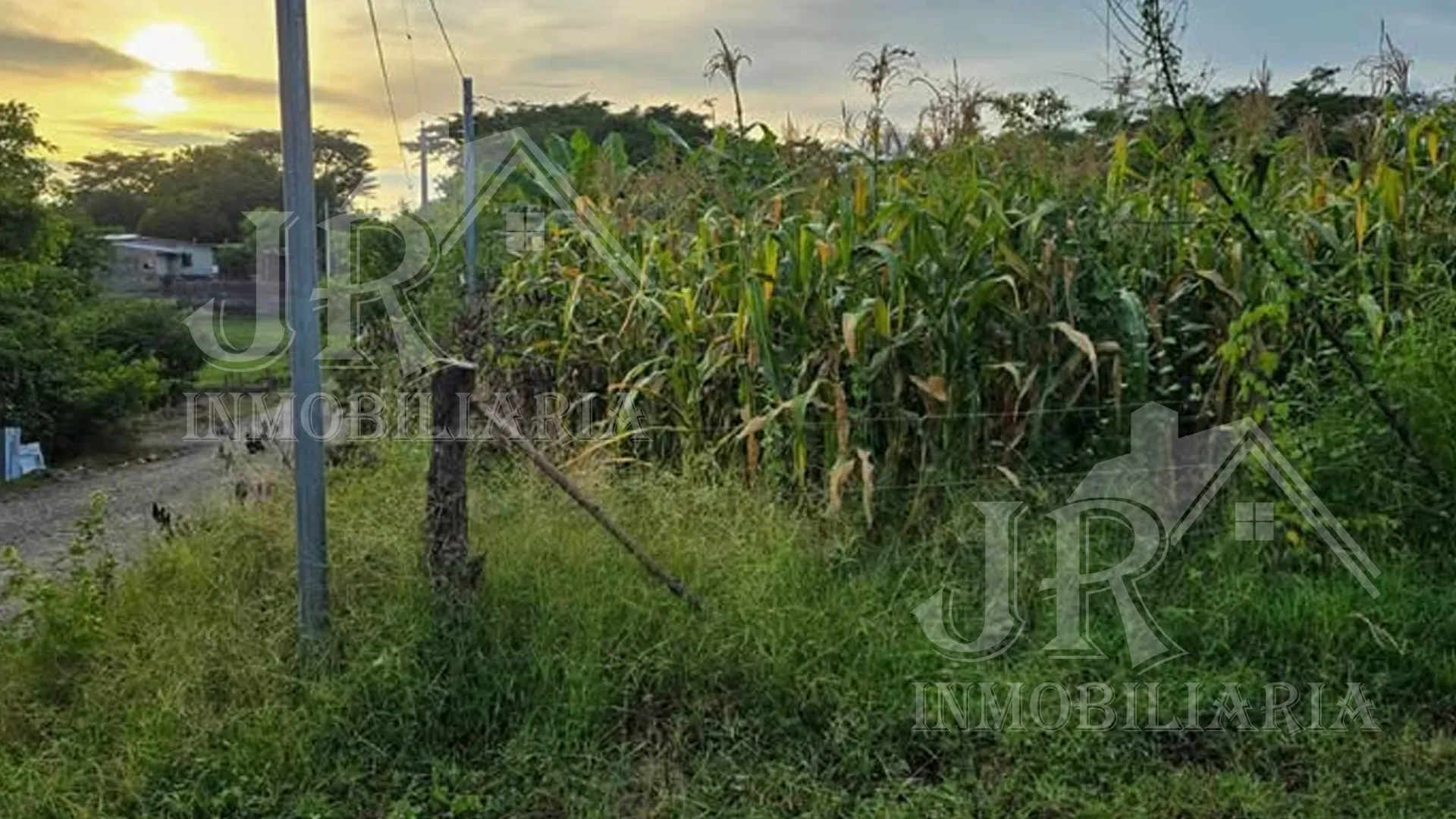 Se Vende Lote en Hato Nuevo