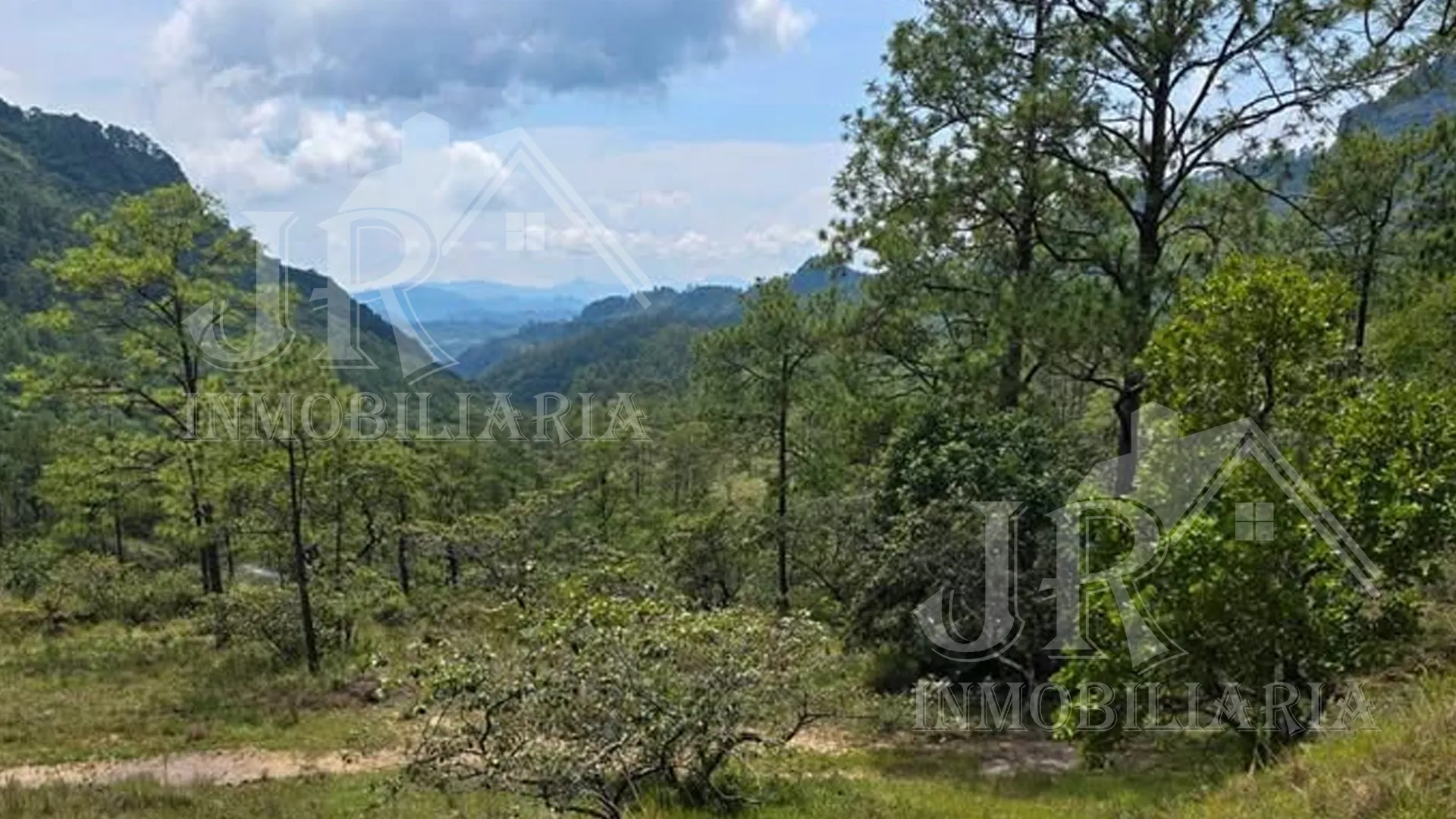 Se Venden Parcelas Ecológicas