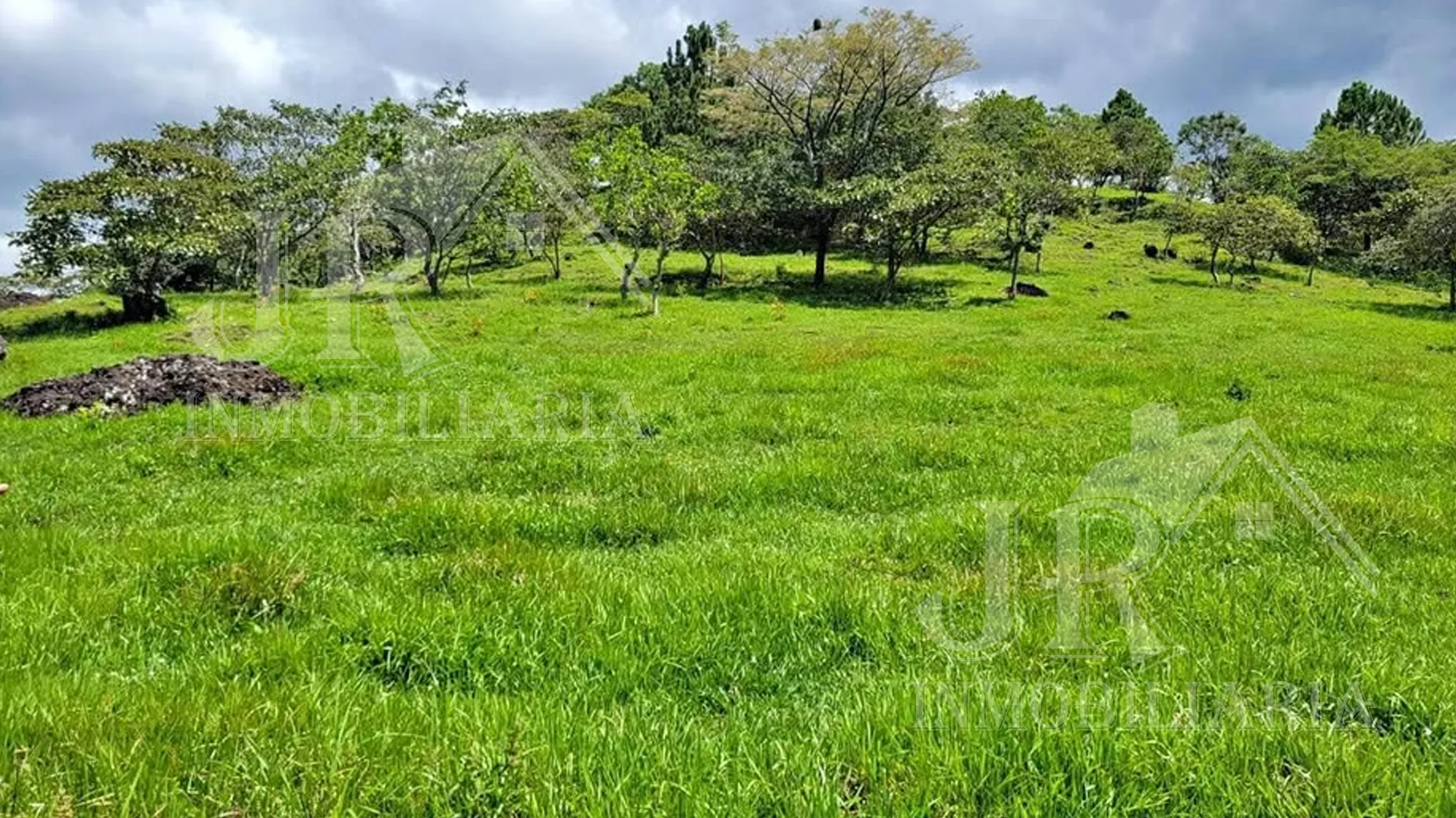 Se Venden Terrenos en Arambala