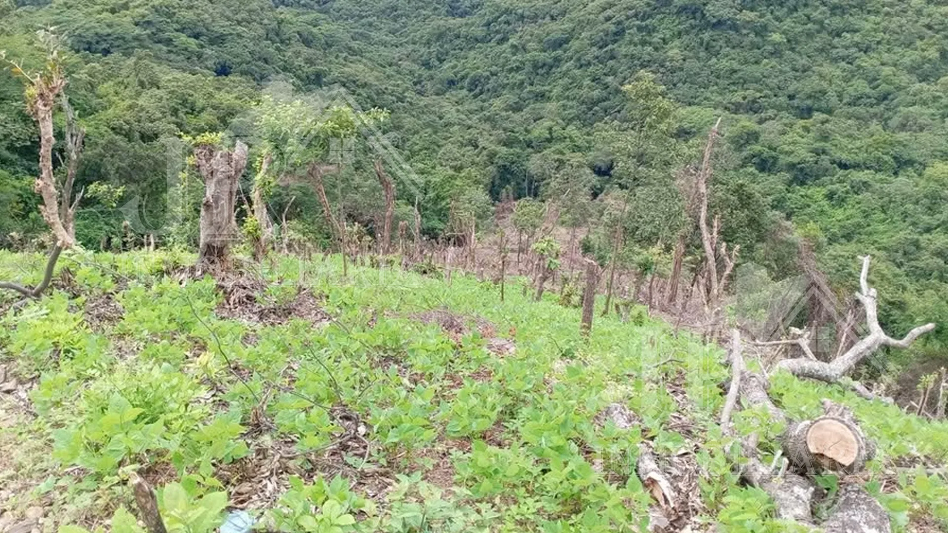 Se Vende Terreno de 3 Manzanas